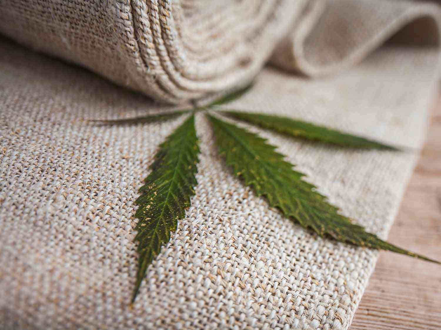 HEMP FIBRE TN