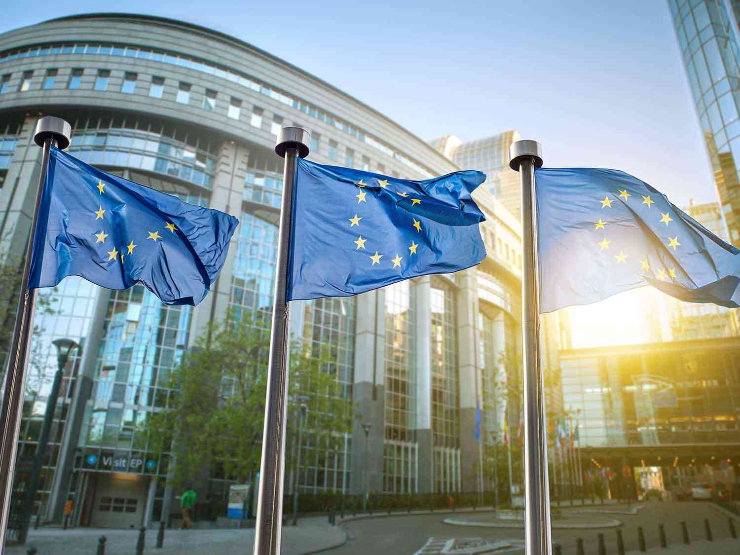 EU TN (1)