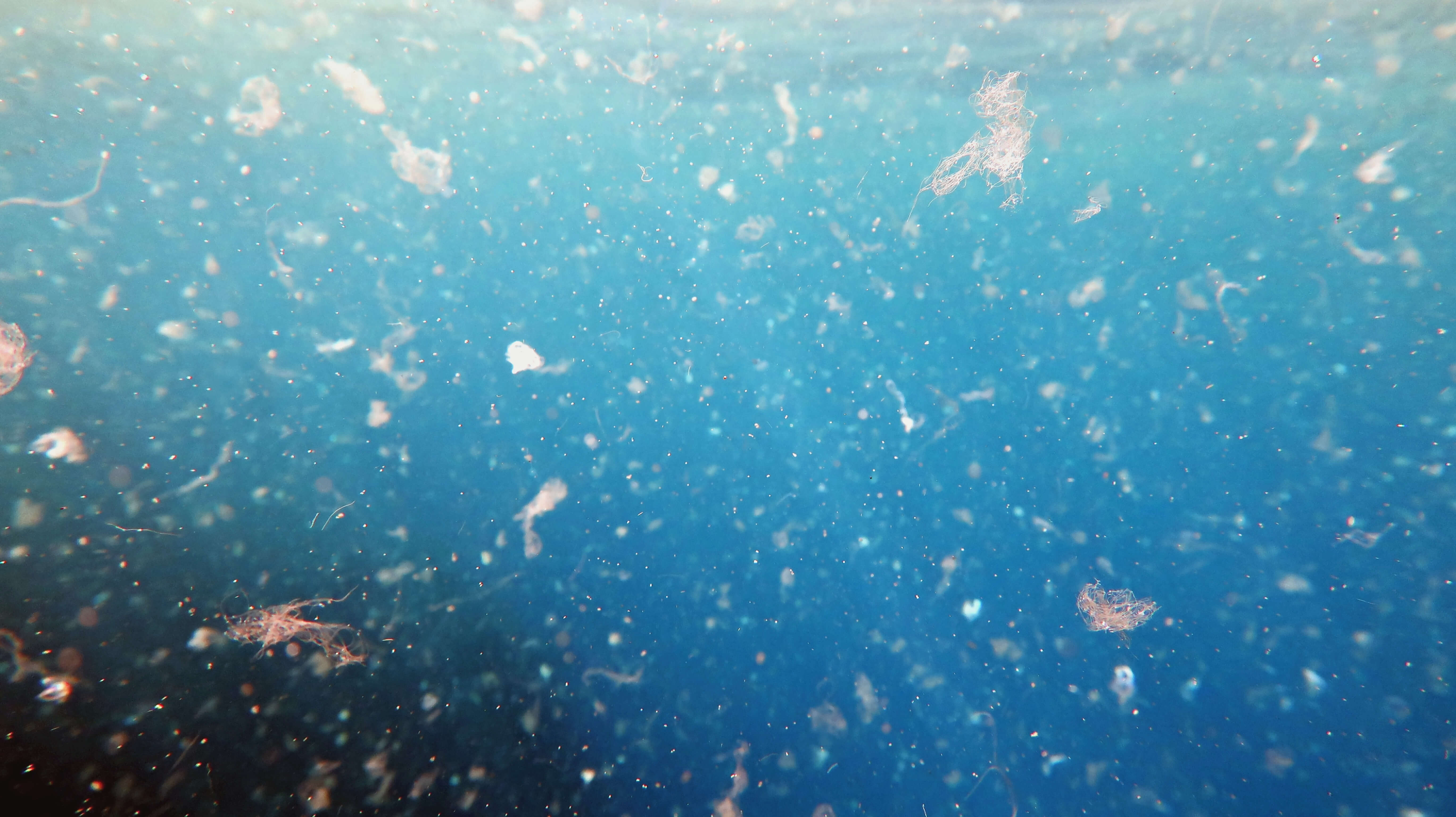 Microplastics 2.jpg