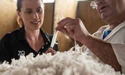 Wool from regenerative sources for the sports & ou...