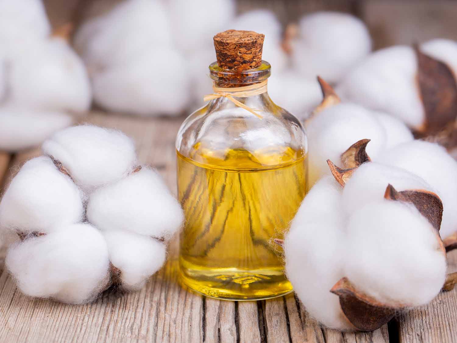 COTTON SEED OIL TN