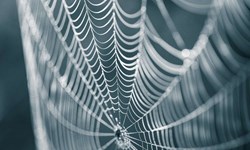 Mimicking spider silk production and fibres