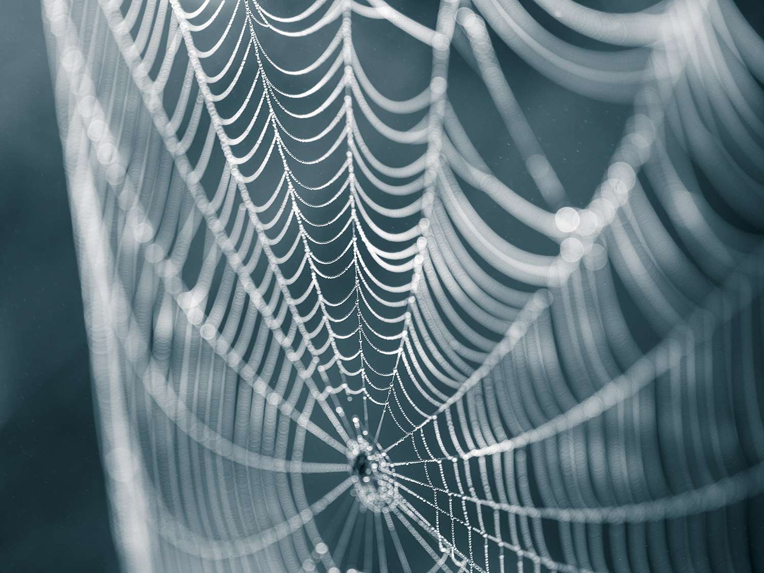 Mimicking spider silk production and fibres